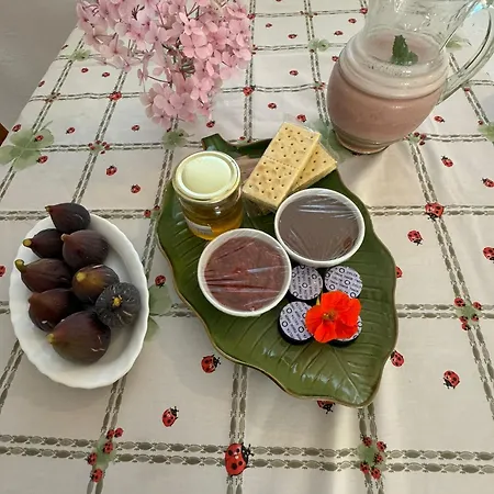 Lugar Andorinhas Vakantiehuis