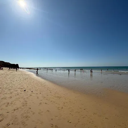 Vakantiehuis Lugar Andorinhas *