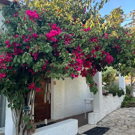 Ferienhaus Lugar Andorinhas