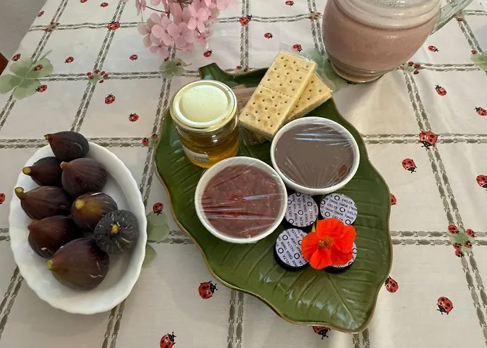 Lugar Andorinhas Tatil Evi
