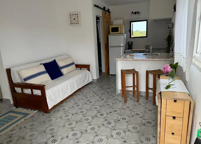Tatil Evi Lugar Andorinhas *