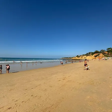 Lugar Andorinhas אלבופיירה