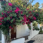 Holiday home Lugar Andorinhas